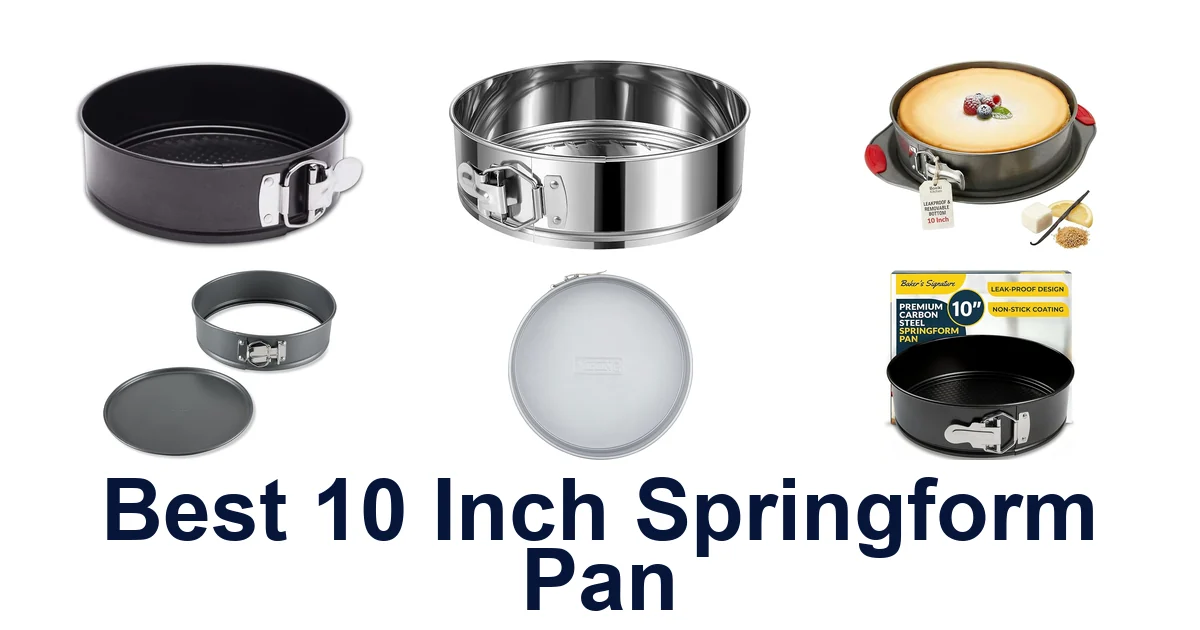 best 10 inch springform pan