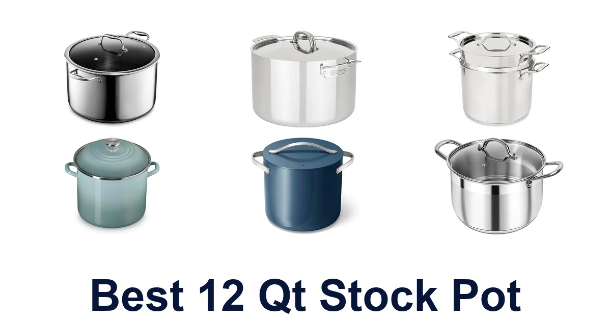 Best 10 12 Qt Stock Pots: Top Picks & Reviews