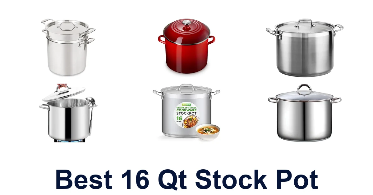 Best 10 QT Stock Pots: Top Picks for Chefs