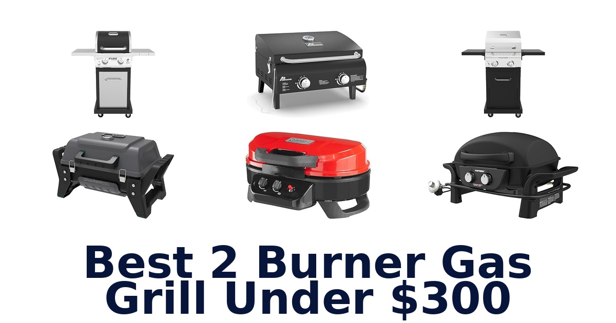 best 2 burner gas grill under $300