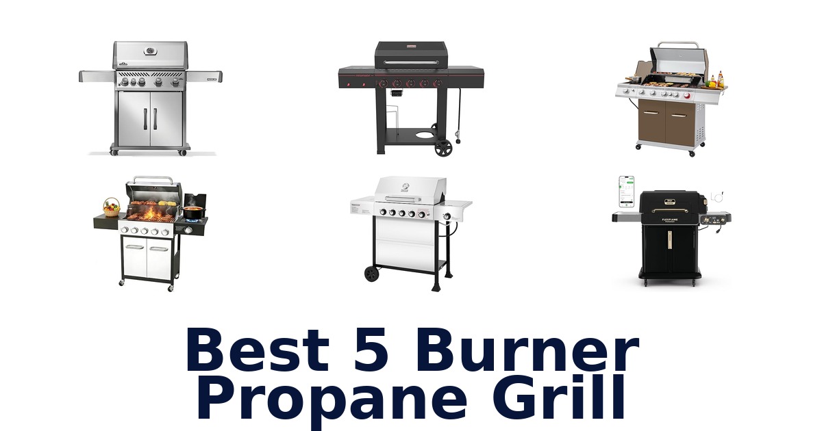best 5 burner propane grill