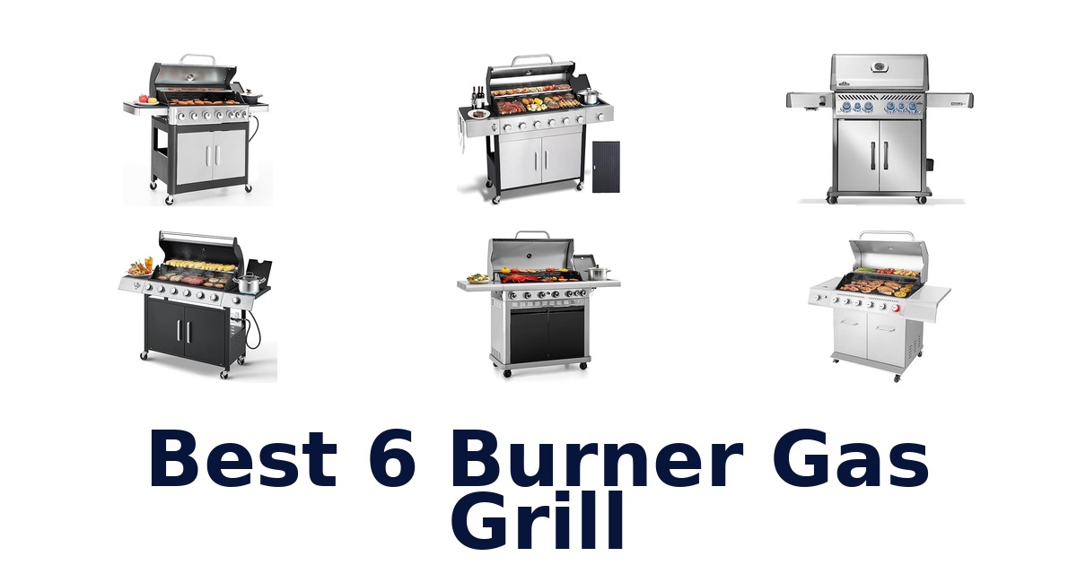 best 6 burner gas grill