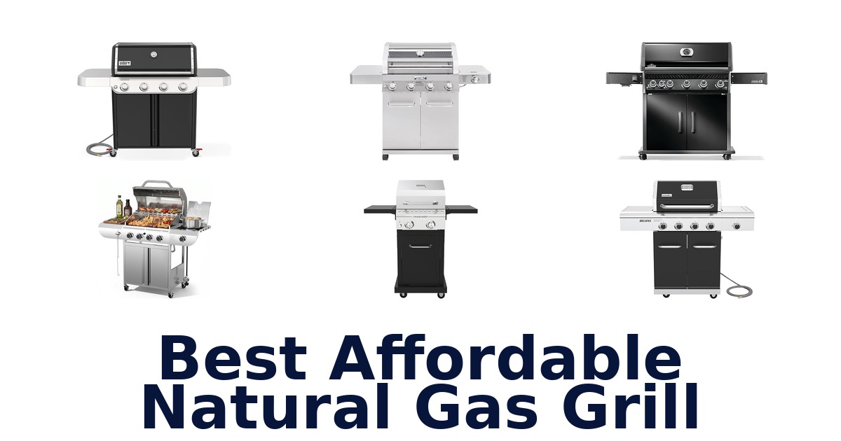 best affordable natural gas grill