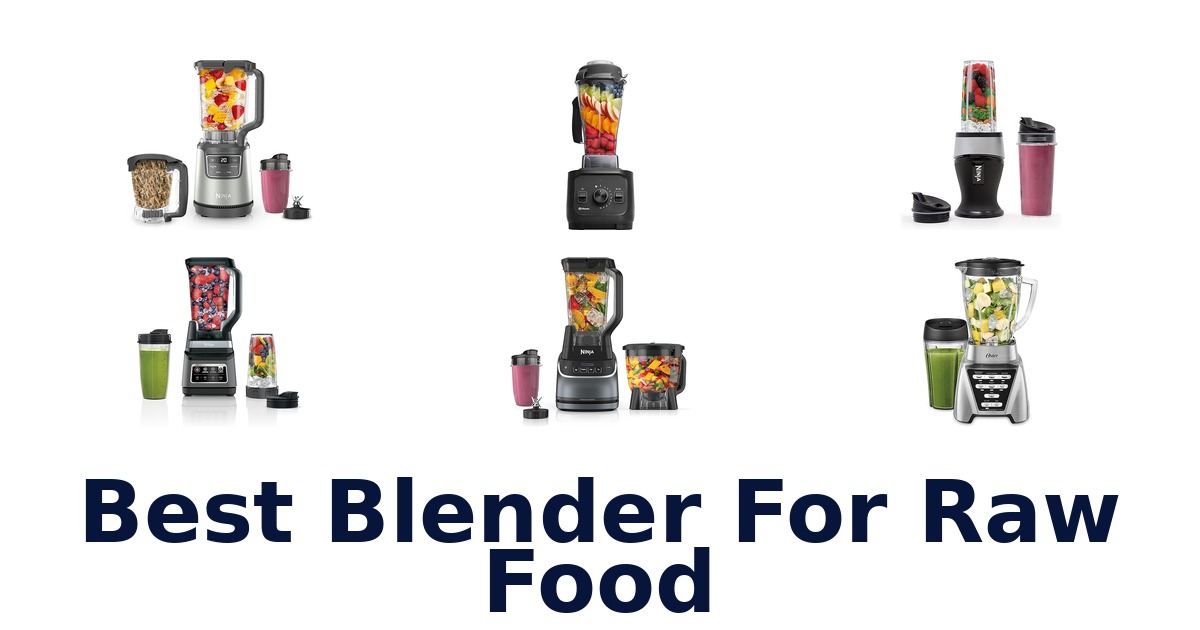 best blender for raw food
