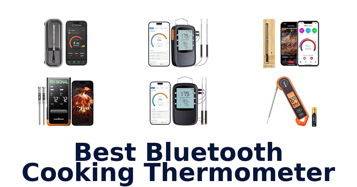 best bluetooth cooking thermometer