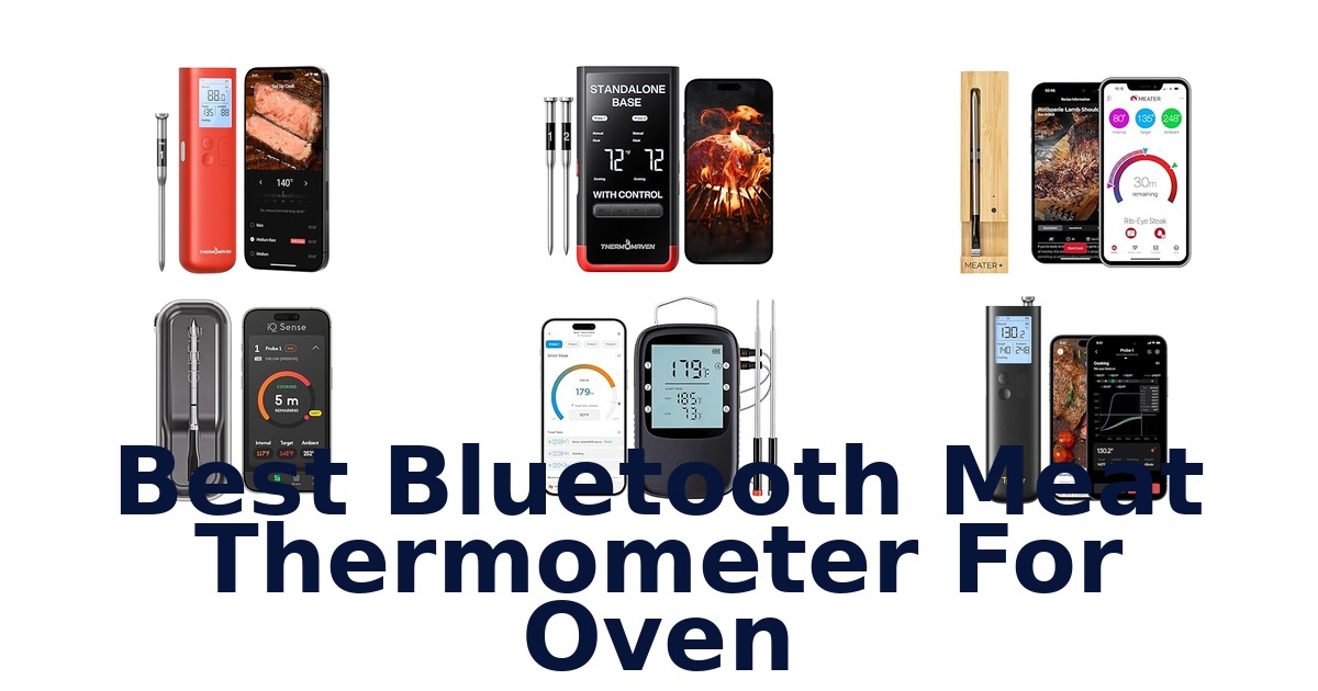 best bluetooth meat thermometer for oven