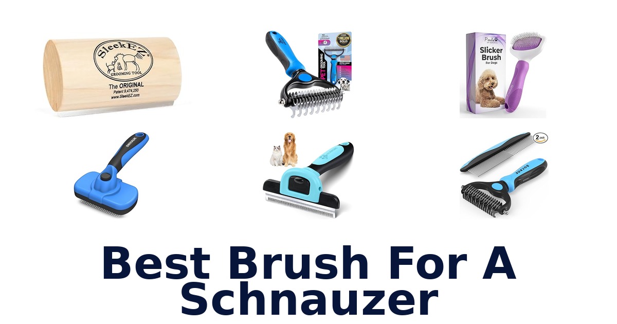 best brush for a schnauzer