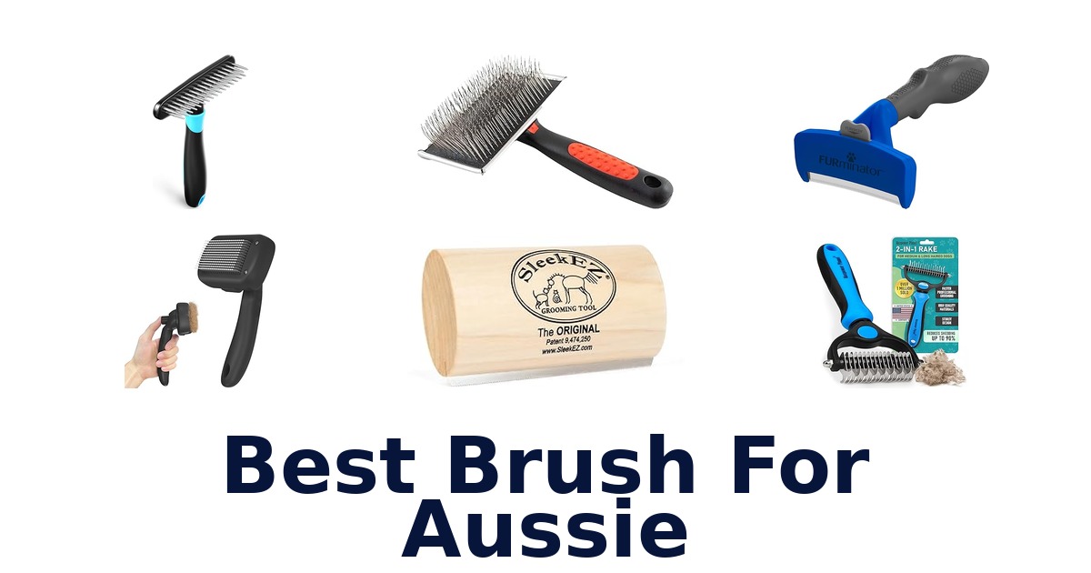 best brush for aussie