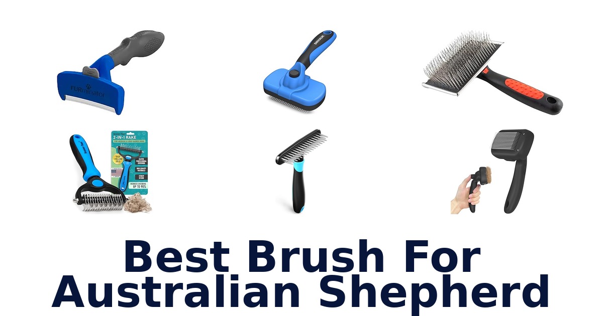 best brush for australian shepherd