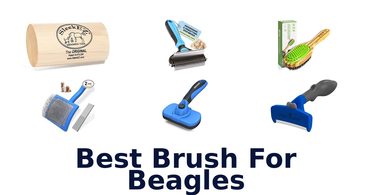 best brush for beagles