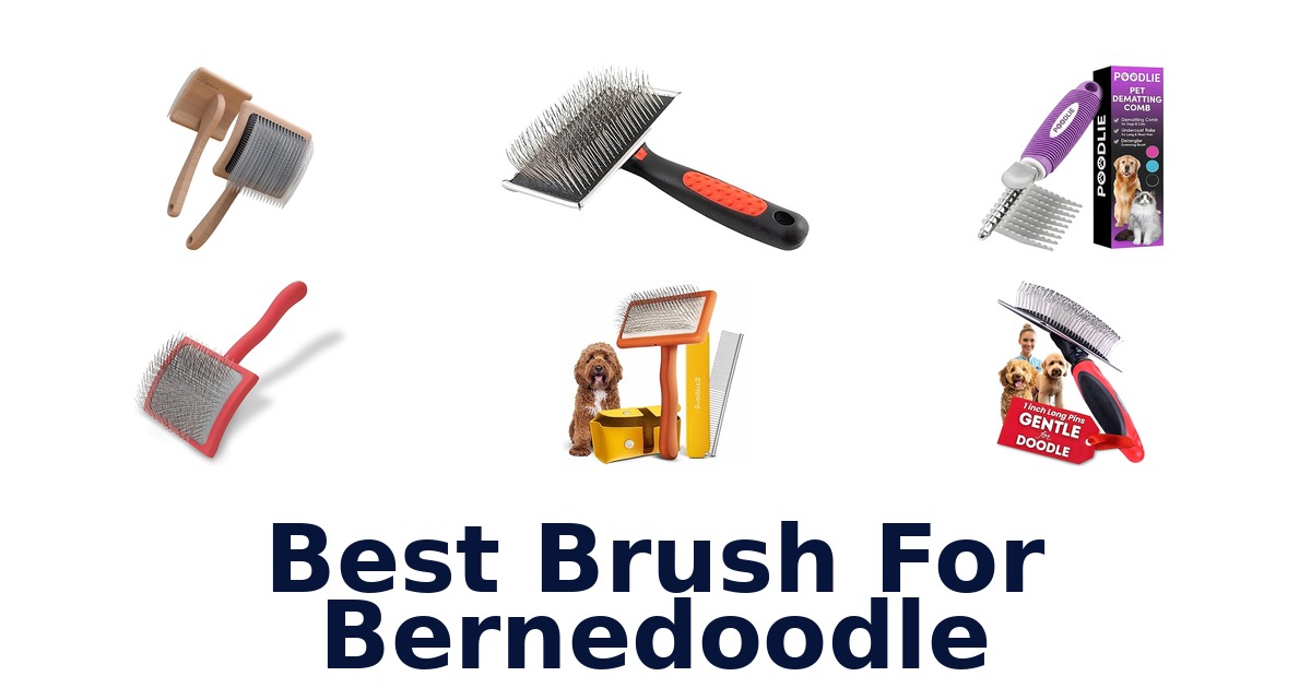 best brush for bernedoodle