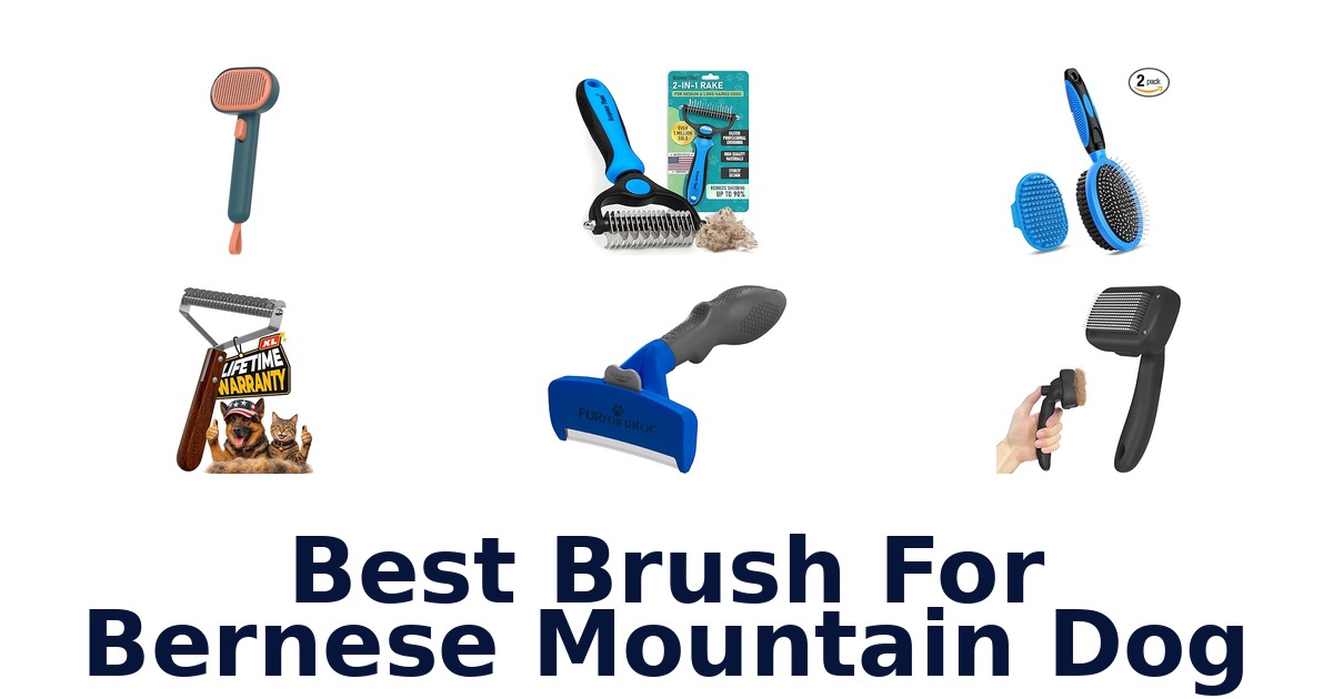 best brush for bernese mountain dog