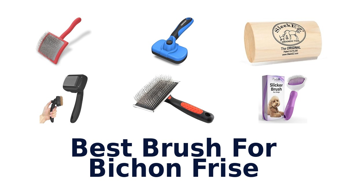 best brush for bichon frise