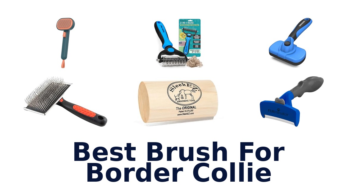 best brush for border collie