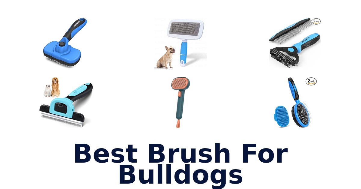 best brush for bulldogs