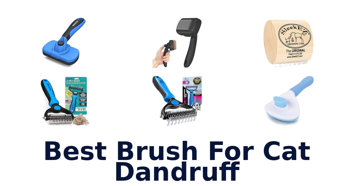 best brush for cat dandruff