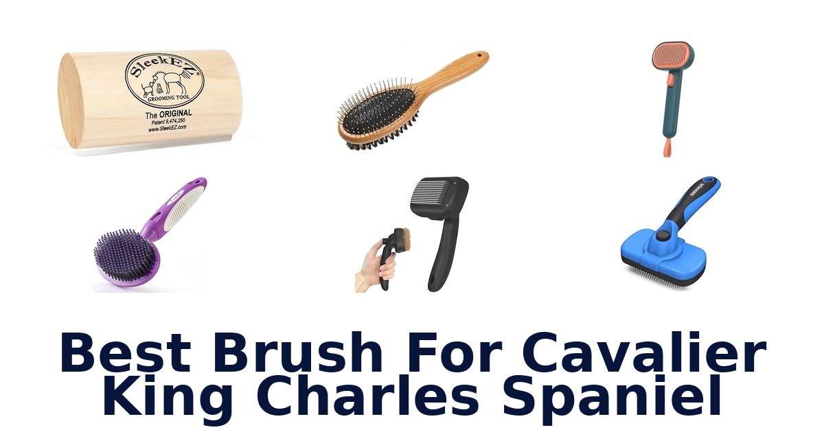 best brush for cavalier king charles spaniel