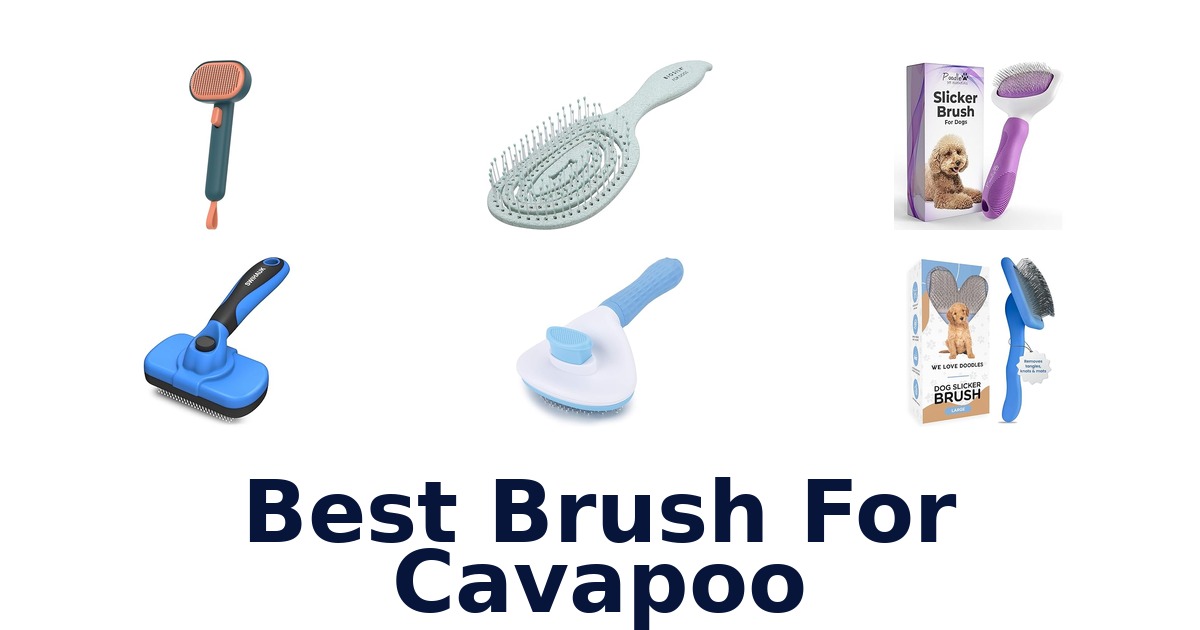 best brush for cavapoo