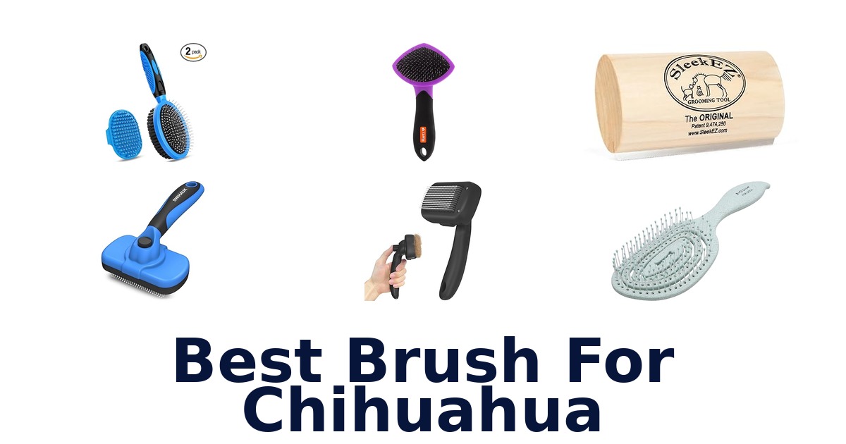 best brush for chihuahua