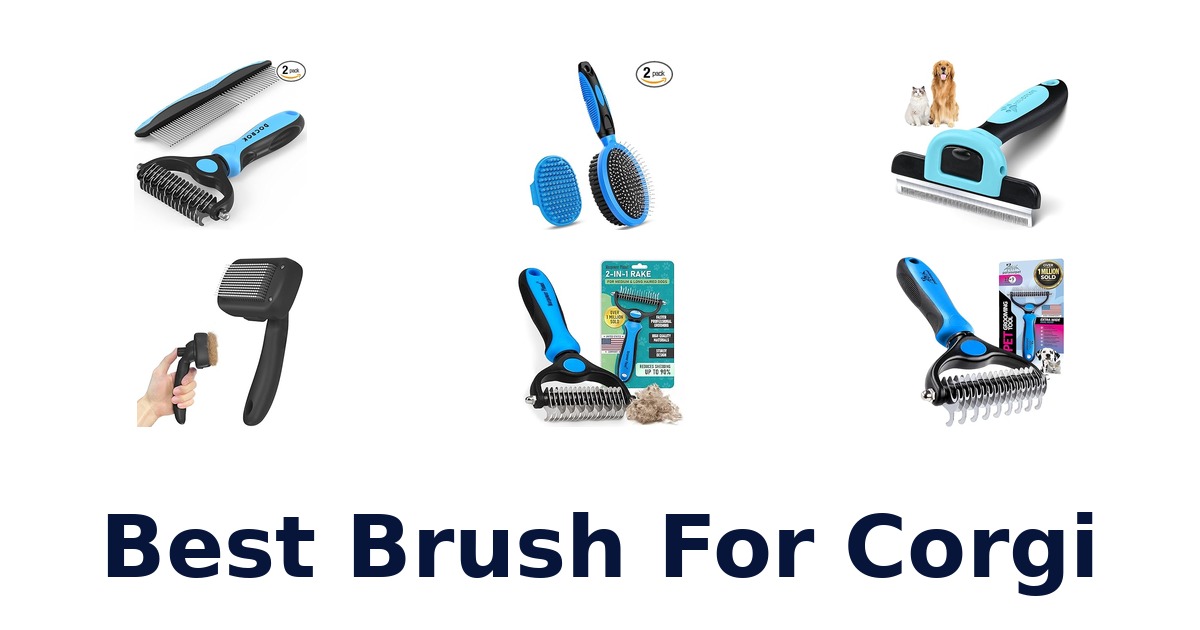 best brush for corgi