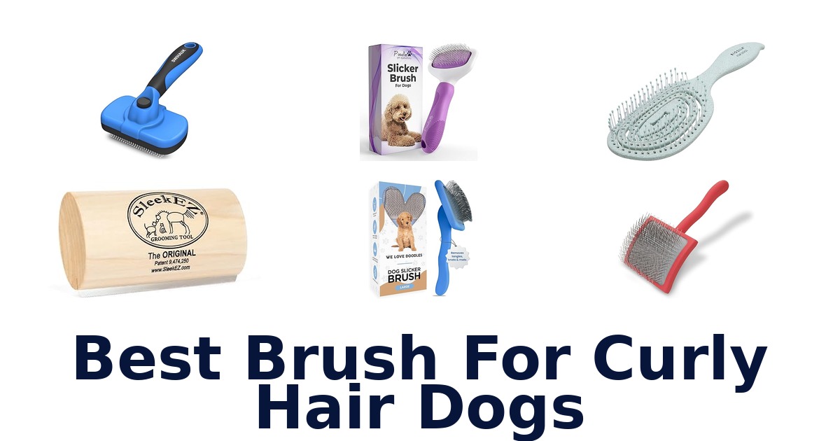 best brush for curly hair dogs
