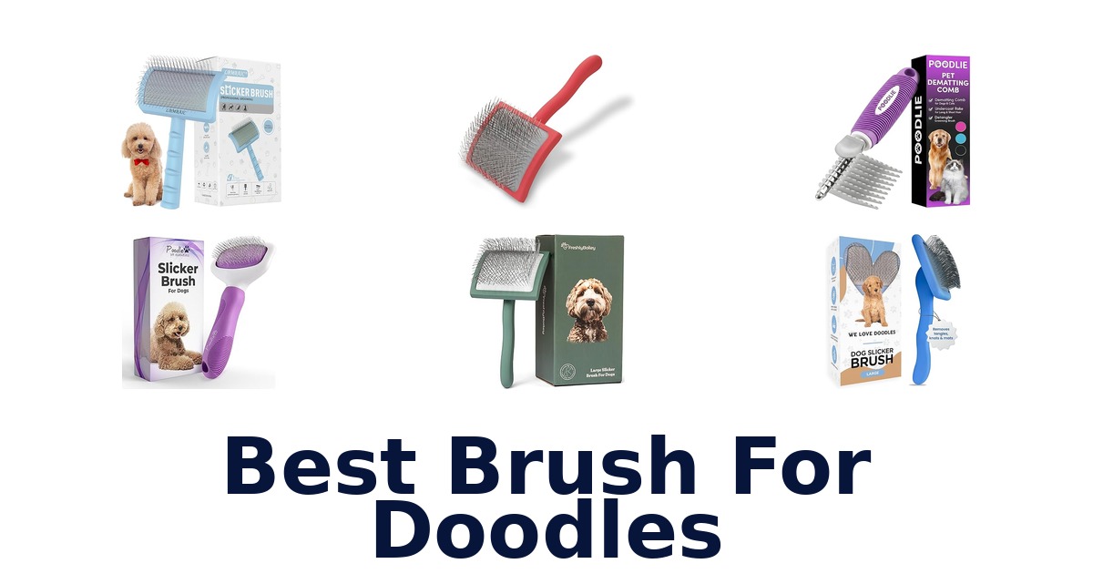 best brush for doodles
