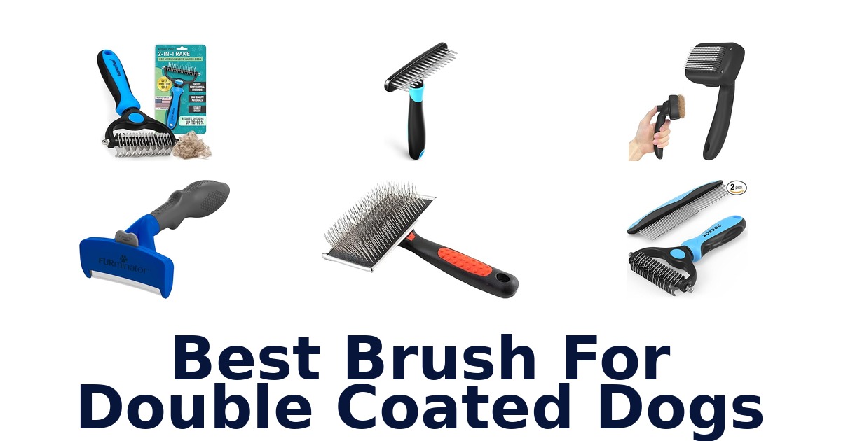 best brush for double coated dogs