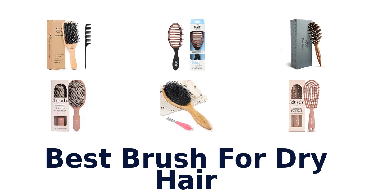 best brush for dry hair
