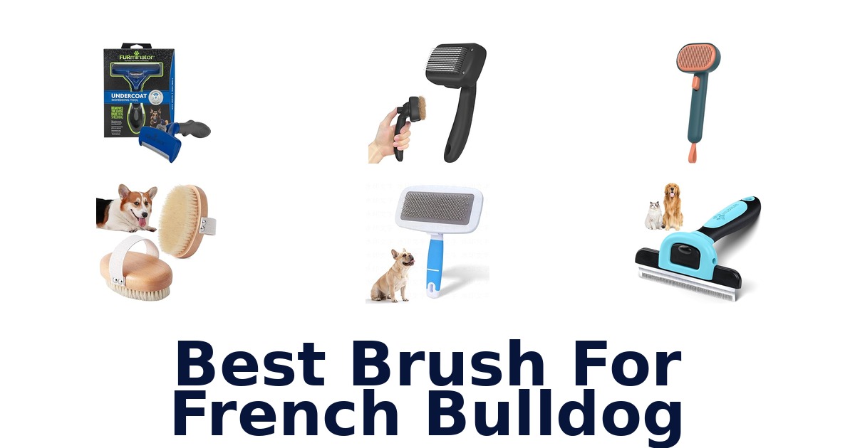 best brush for french bulldog