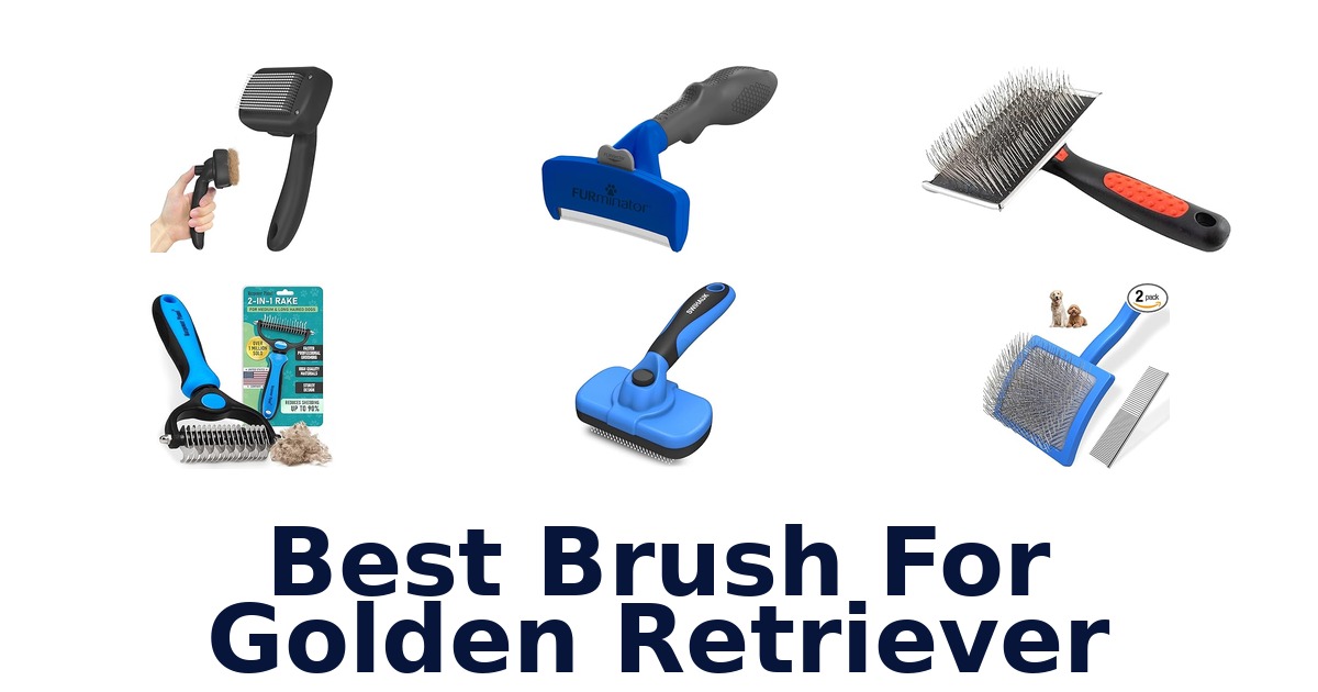best brush for golden retriever