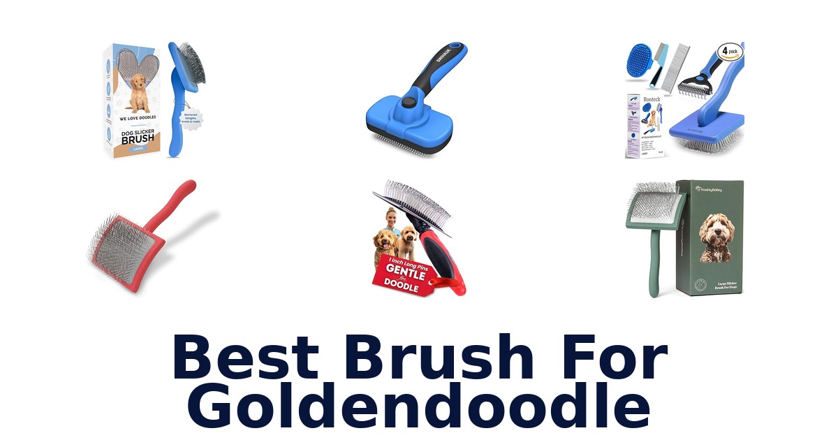 best brush for goldendoodle