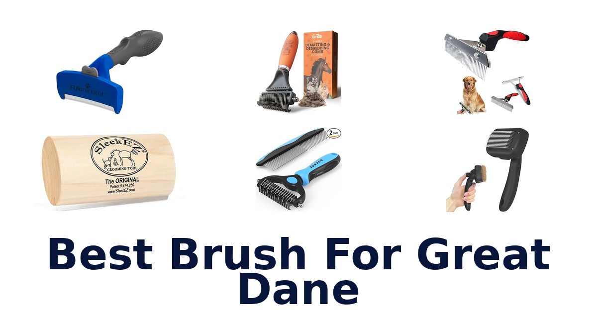 best brush for great dane