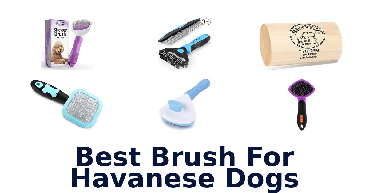 best brush for havanese dogs