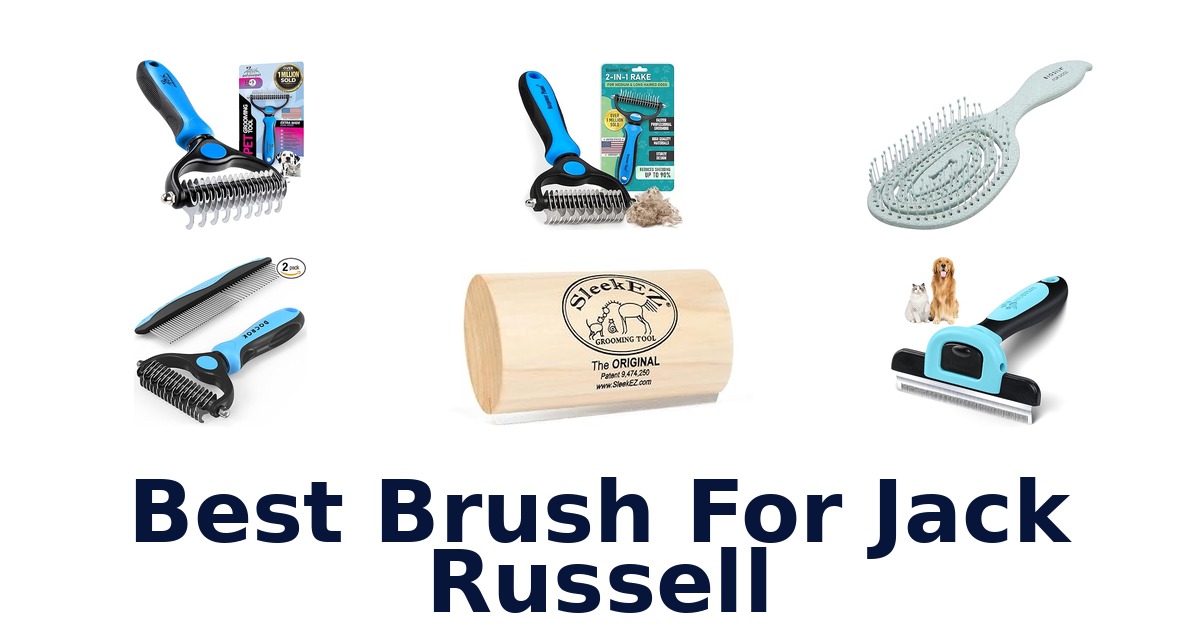 best brush for jack russell