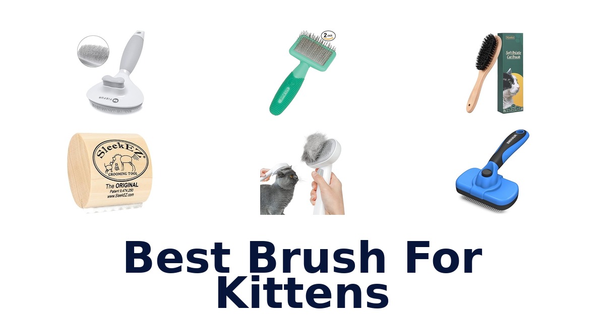 best brush for kittens