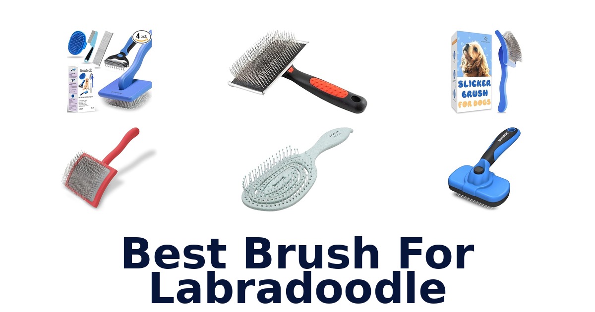 best brush for labradoodle