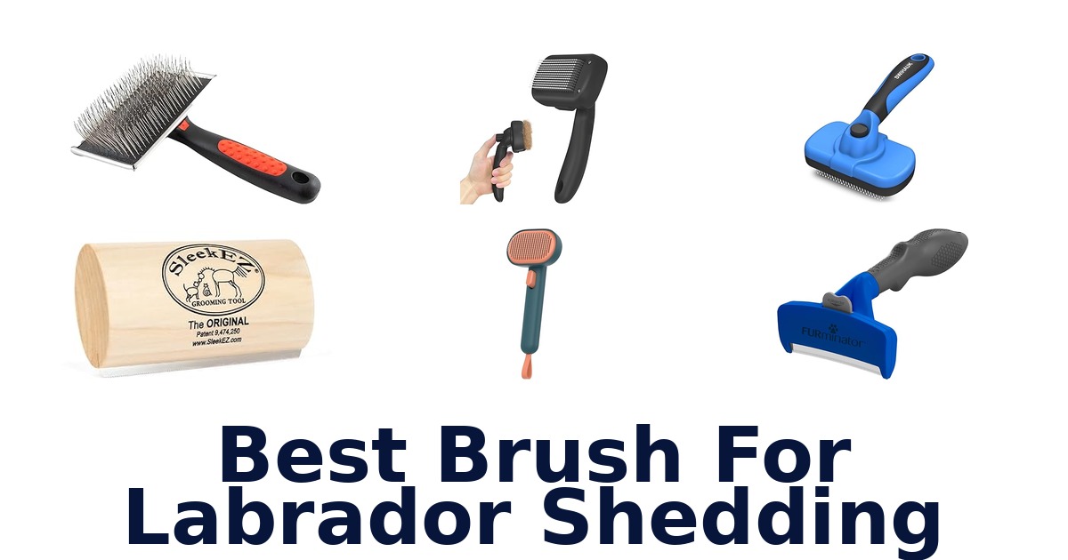 best brush for labrador shedding