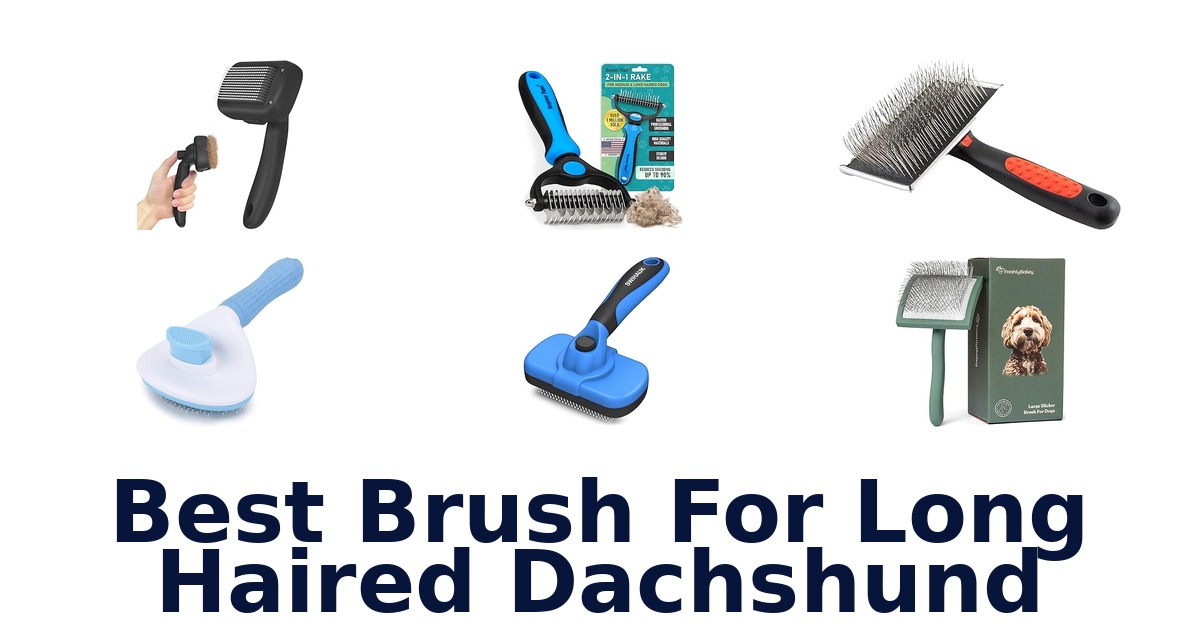best brush for long haired dachshund