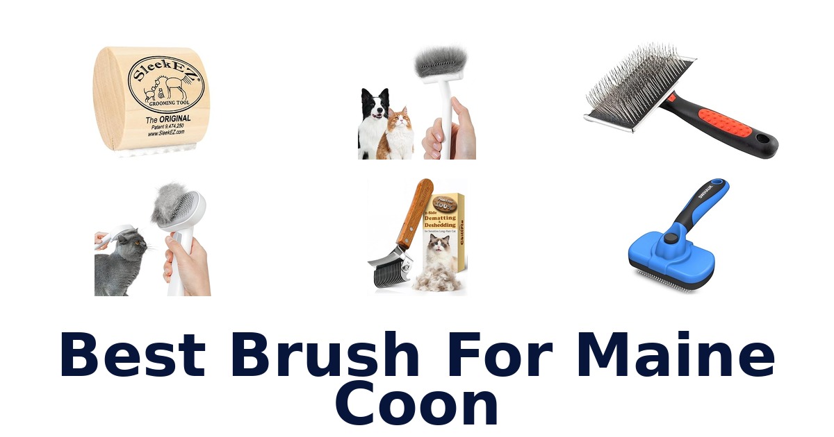best brush for maine coon