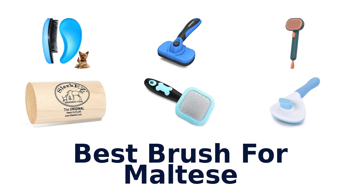 best brush for maltese