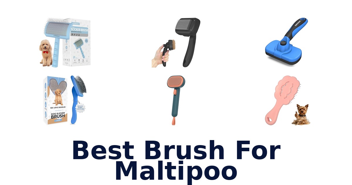 best brush for maltipoo