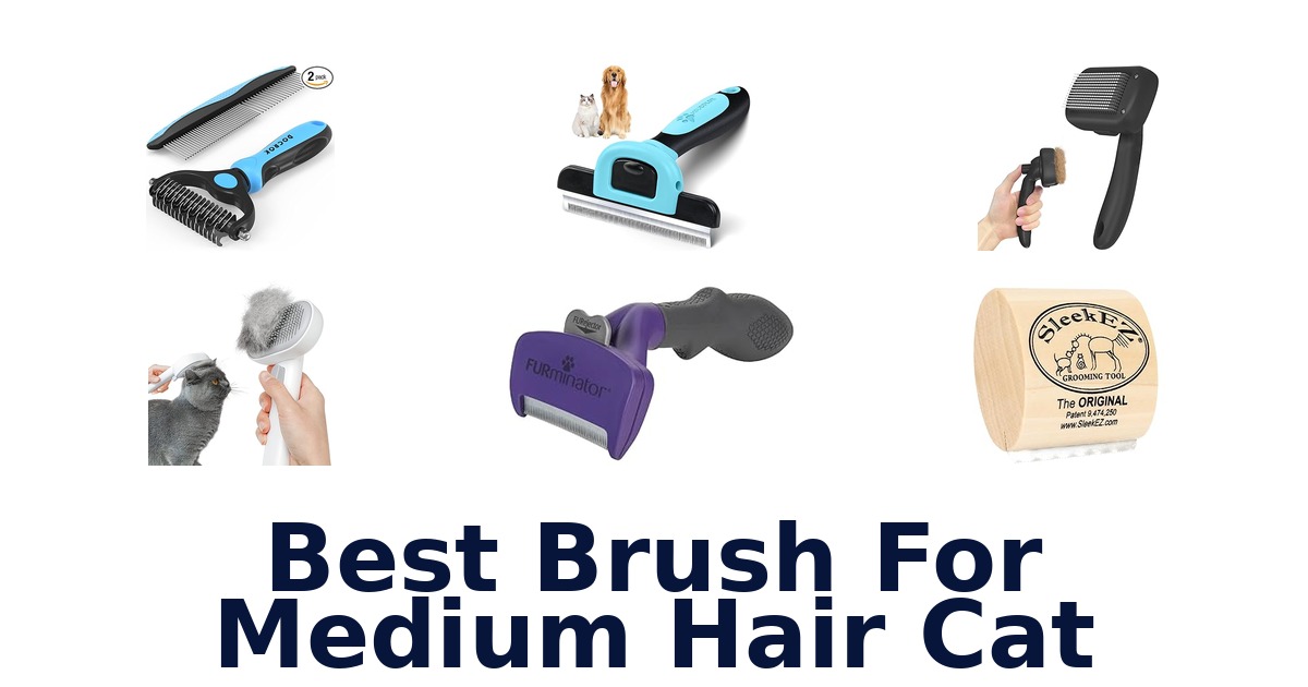best brush for medium hair cat