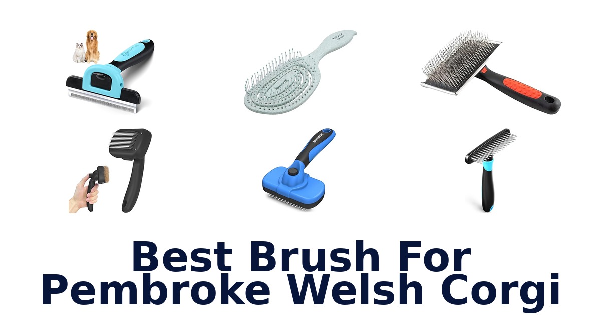 best brush for pembroke welsh corgi