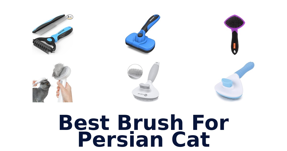 best brush for persian cat
