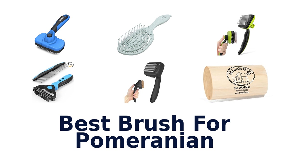 best brush for pomeranian