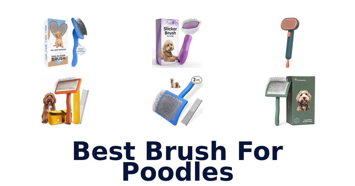 best brush for poodles