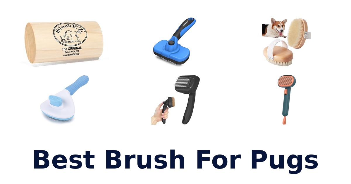 best brush for pugs