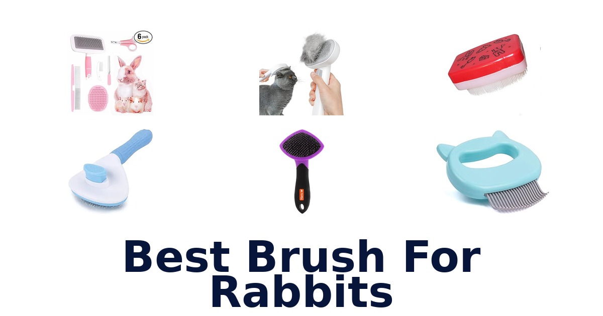 best brush for rabbits