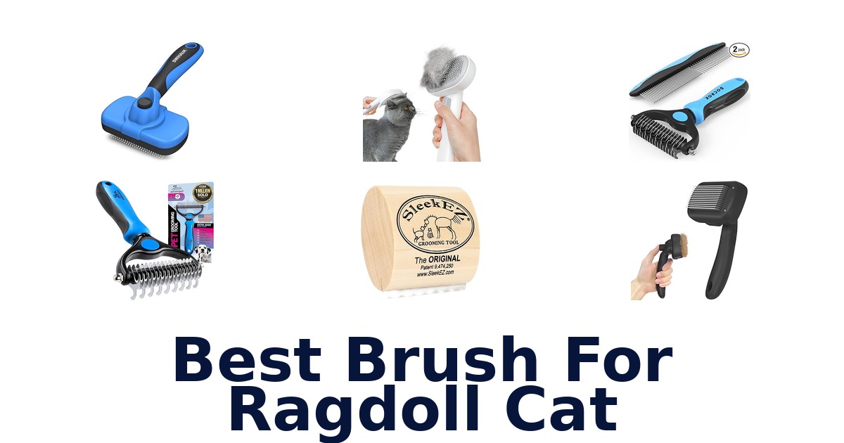 best brush for ragdoll cat