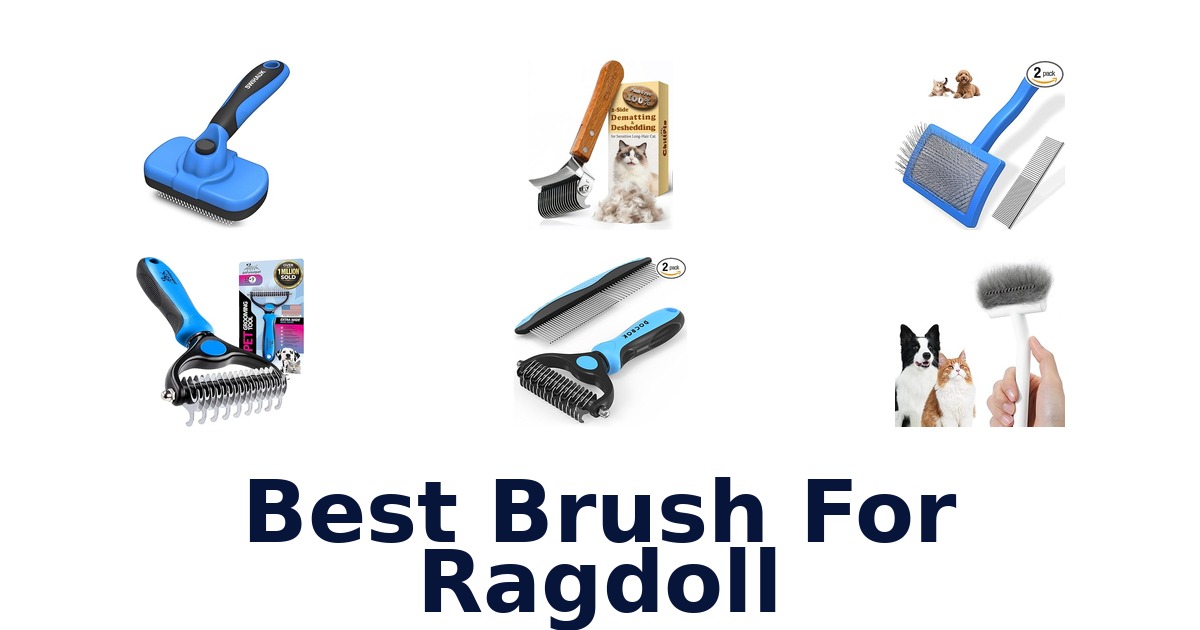 best brush for ragdoll